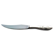 Steak knife